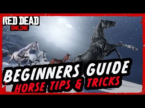 ULTIMATE HORSE GUIDE - Red Dead Online Beginners Guide to Horses