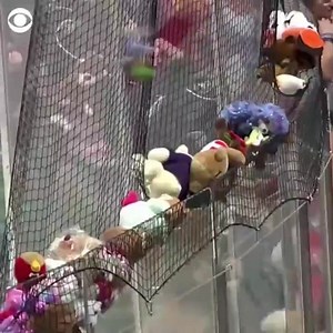 This year the Hershey Bears teddy bear toss broke a new world record. The fans threw over 52,000 stuffed animals onto the ice. All of the stuffed animals were donated to local kids. #kOPEitar | Instigators Hockey