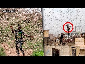 ES VERDAD QUE YA COMENZARON LAS PLAGAS BÍBLICAS ?