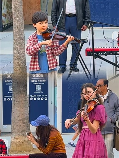 #violin #violon #violinist #streetmusician | Violin