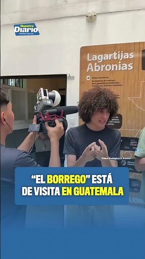 FROM COLOMBIA TO LA AURORA ZOO: SPECIAL VISIT IN GUATEMALA 🐑🔥