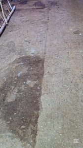 Testing First Reaper of 2025 Model | Zameendar Agro