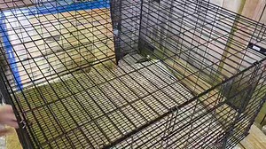 5 comments | I’m unboxing and testing the rabbit cage sold at Tractor...
