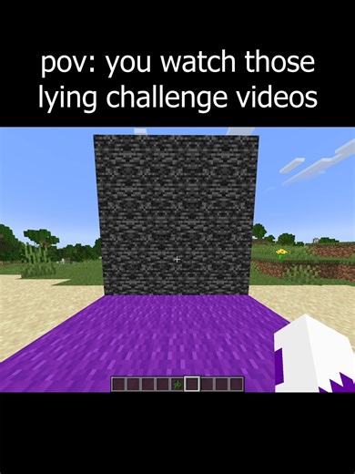 The Truth Behind Lying Challenge Videos in Minecraft