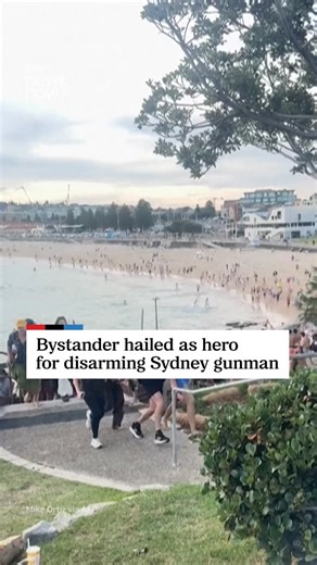 NPR on Instagram: "A man is being hailed as a hero after he disarmed one of the two men who opened fire at a crowd of people celebrating Hanukkah on Sydney’s Bondi Beach over the weekend. Officials says at least 15 people were killed and at least another 42 people were hospitalized.⁠ ⁠ Video shared on social media shows an unarmed man walking up behind one of the suspected gunmen and grabbing him around the neck, wrestling with and eventually disarming the gunman, who falls to the ground before