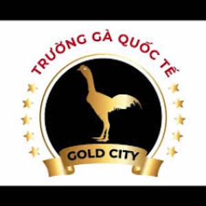 truonggagoldcity - Twitch