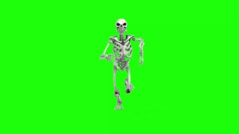 clip-3588610213-side-view-front-back-skeleton-green-screen