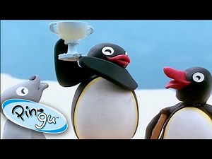Pingu Wins A Trophy! 🏆 ‪@Pingu‬ | Cartoons For Kids
