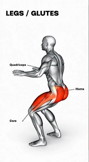 Squats Anatomy: Legs & Glutes Muscle Focus 🦵 | Red Muscles Workout #shorts