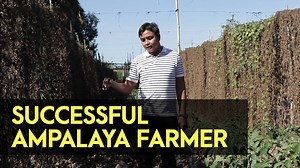 166K views · 6K reactions | Ang successful farmer ay ang farmer na laging kumikilos at nag-iisip ng paraan paano kumita dahil ang farming ay isang business. | Agribusiness | Facebook
