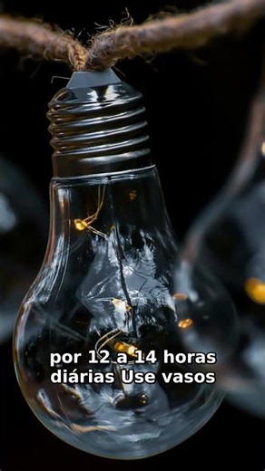 Guia Rápido: 7 Folhas Verdes que Crescem sem Luz Natural em 2 Semanas