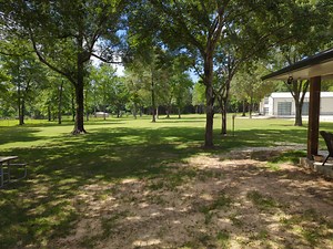 Shallow tree roots - 5 Acres