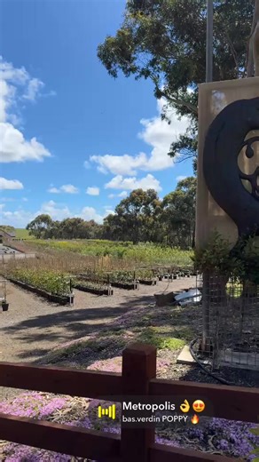 Sun ☀️ is out lawns are mowed and trees are growing. | South West Advanced Trees