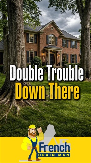 Do You Have Trees Within 50 Feet of Your House?