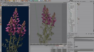 Xfrog 5 For Cinema 4d R13 Download Free
