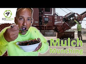 How it's made...Colored Landscape Mulch