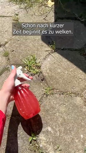 This burns weeds right down to the root – my most powerful trick without chemicals