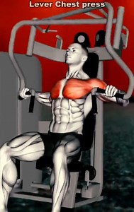 The best Upper Body Workout | EFitnessHelp