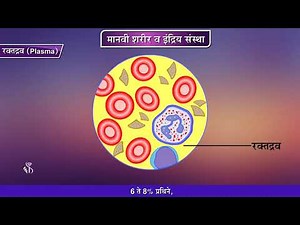 8th Science | Chapter#11 | Topic#07 | रक्त | Marathi Medium