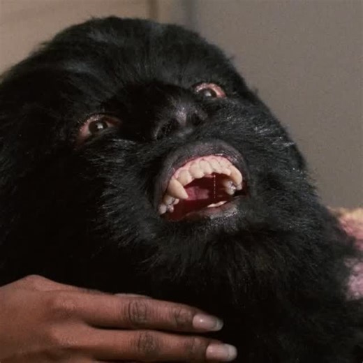 Eternal Family on Instagram: "Chameleon Street (1989, 1hr 35min) Streaming for Family Members on Eternal.tv & Apps in North America. Chameleon Street recounts the improbable but true story of Michigan con man Douglas Street, the titular “chameleon” who successfully impersonated his way up the socioeconomic ladder by posing as a magazine reporter, an Ivy League student, a respected surgeon, and a corporate lawyer. Directed by Wendell B Harris Jr. & Presented with Arbelos Films / @arbelosfilms"