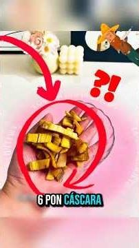 8 Trucos Caseros Para Eliminar Plagas Que Casi Nadie Conoce!
