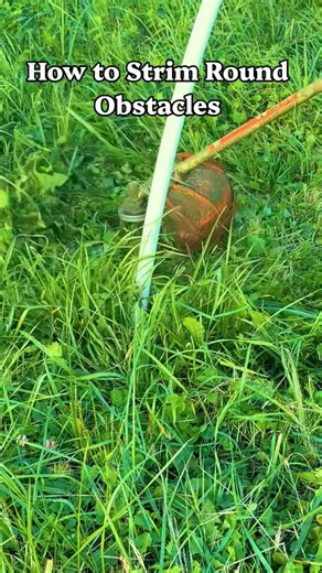 How to Use a Strimmer/weed whacker #asmr #satisfying #diy #backyard #outdoors