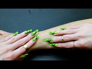 ASMR | Arm scratching with my long black and green claws!