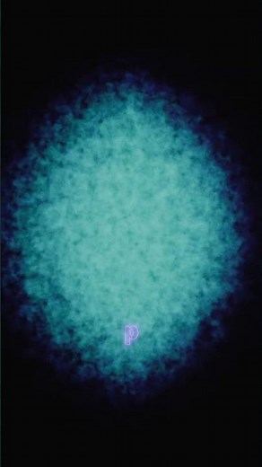 The Bohr model of the atom⚛️ vs what quantum mechanics actually says.