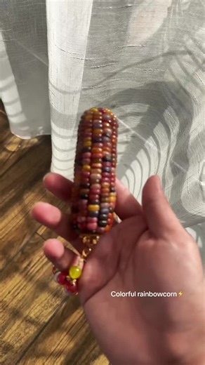 Colorful Rainbowcorn DIY Craft Ideas