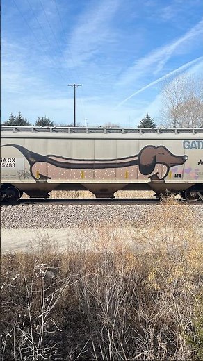 #traingraffiti from our railfanning ventures. Some are actually quite impressive. #graffiti #trains