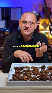 6.8K views · 118 reactions |  ➡️  COPROLITE, La cacca fossile di milioni di anni! #gemmologia #gemme #pietrepreziose #coprolite | Lineagem Luca | Facebook