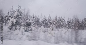 As the train travels, the woods appear blanketed in a thick coat of snow, epitomizing winter's chill.