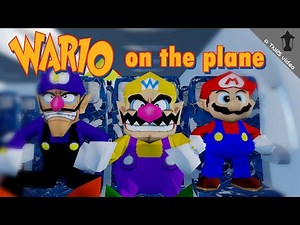TNRS: Wario on the plane