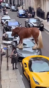 🚨 CAOS IN CITTÀ: CAVALLO DISTRUGGE AUTO DI LUSSO A LONDRA 🇬🇧🐎 Un cavallo della cavalleria britannica è impazzito nel centro di Londra, distruggendo un’auto di lusso e scatenando il panico tra i passanti 😱💥 Le immagini mostrano il cavallo correre in piena città, colpendo il cofano di una macchina e continuando la fuga tra taxi e bus 🚗🐎 Un evento che ha scioccato tutti, ma che ricorda quanto la tradizione — anche quella militare — possa scontrarsi con la modernità urbana ⚔️🏙️ 👉 La causa?