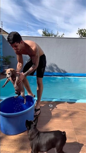 The merman was very happy, just don't touch the water! 😂