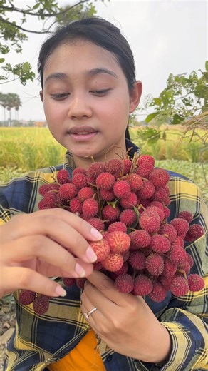 Eating lychee fruit #reelsvideo #reelsfb #eatingvideos #foodblogger #vegetables #fruitlover #asmrsounds #reels #eatingshow #fruits | Tasty Bite - Van Din