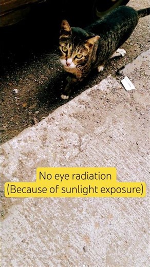 no eye radiation because of the sunlight exposure #shorts #quantumphysics #quantum ‪@GyanFreedom‬