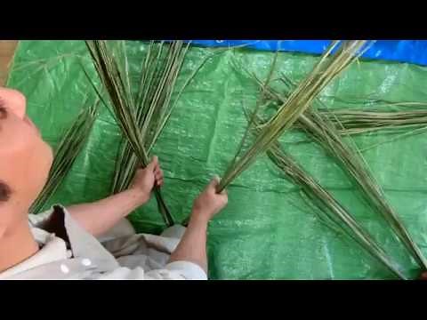 【初心者でも簡単】真菰のしめ縄作成 01