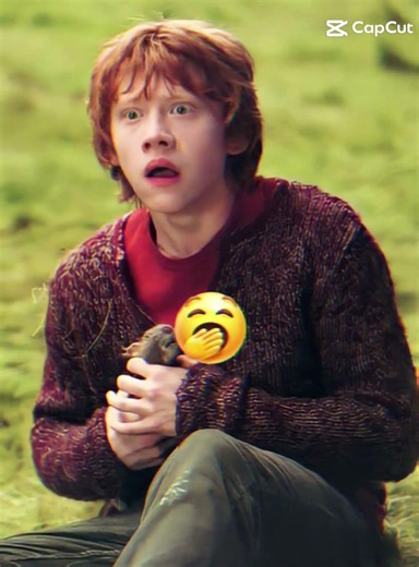 Rupert Grint Glow Up: Then vs Now ✨​