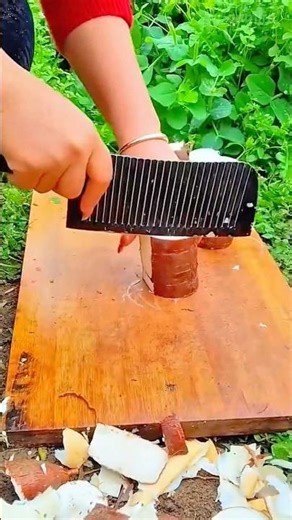 slicing thick-skinned brown tubers into uniform cylinders using a large serrated blade on a wooden