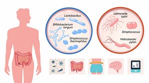 Science Explains What Happens to Your Body When You Take Probiotics Every Day
