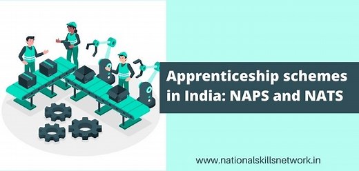Apprenticeship schemes in India: NAPS and NATS
