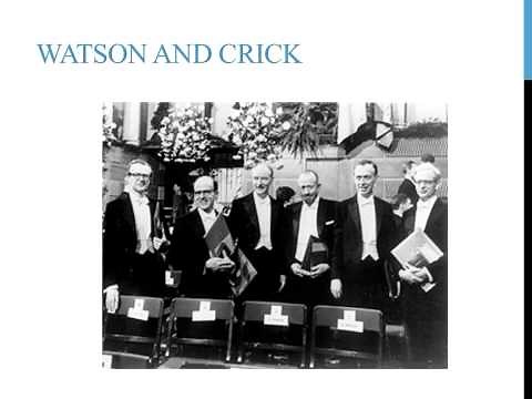 The history of genetics