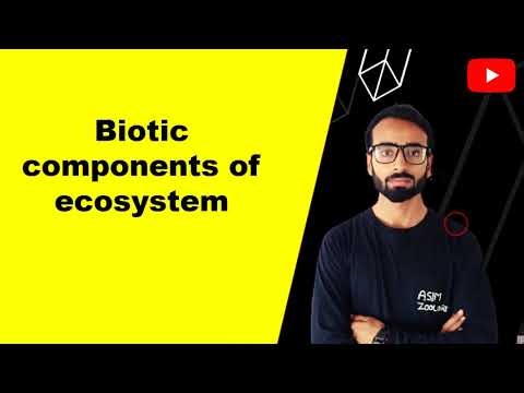 Biotic components of ecosystem | Asim zoologist
