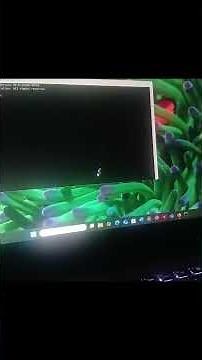 Fix windows Errors with sfc /scannow with command prompt. #techfix #commandprompt #windowstips
