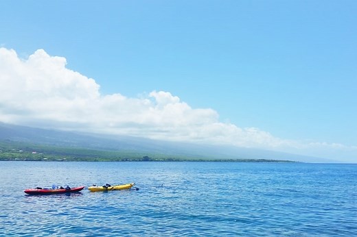 Shark attacks in Hawaii 🦈 Do they happen near tourist beaches? 🦈🌴 Maui, Big Island, Oahu, Kauai 🌴🦈 Hawaii travel blog - Flashpacking America