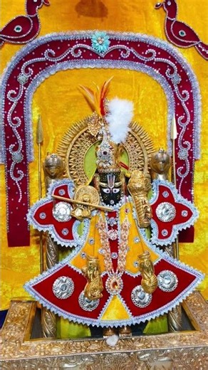 आज के मनमोहक दर्शन दिनांक 20/01/2026