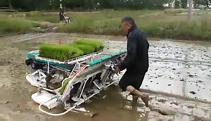 Planteuse de riz agricole à quatre temps Nom du modèle : 2ZS-6G Dimensions de la machine (L x l x H) : 2370 x 1930 x 910 mm Poids de la machine : 187 kg Moteur : Moteur essence 4 temps Démarrage : Manuel Transmission : 2 vitesses avant (1 pour la plantation, 1 pour la marche), 1 vitesse arrière, rotation automatique à 3 vitesses, réglage de la hauteur Vitesse de travail : 0,28-0,50 m/s | Going Beyond Grossiste | Facebook