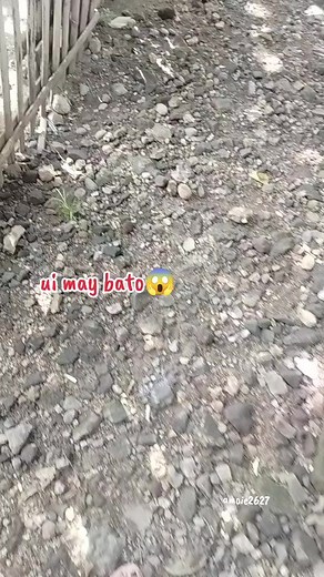 Panghilod: Paano Tanggalin ang Libag gamit ang Bato