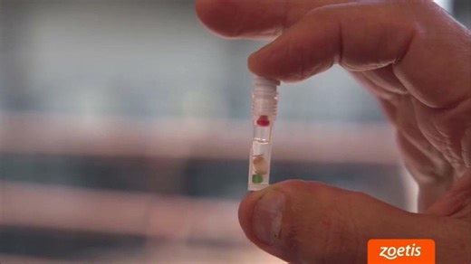 Western AG Network | Haystack News